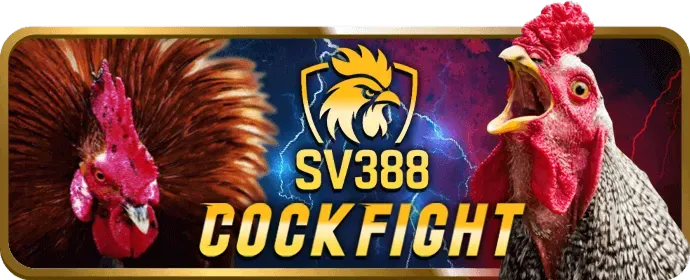 Ưu đãi chào mừng thành viên mới Ku11bet Login